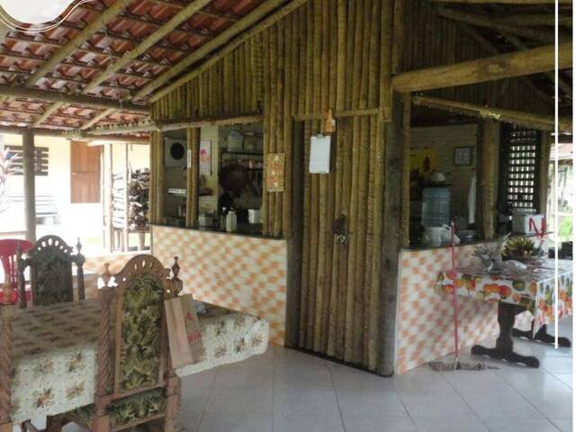 #353 - Chácara para Venda em Antônio Dias - MG