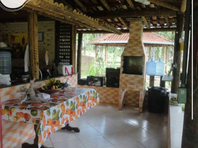 #353 - Chácara para Venda em Antônio Dias - MG