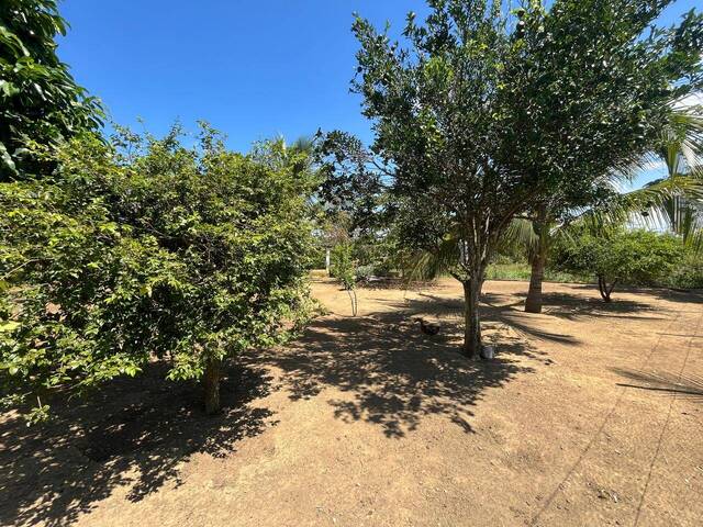 #726 - Chácara para Venda em Ipaba - MG